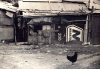 Zingari 06